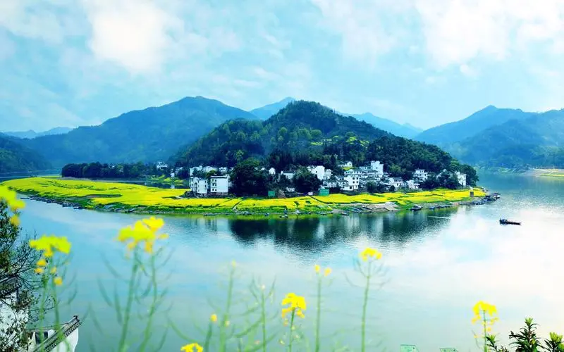 创新高标准